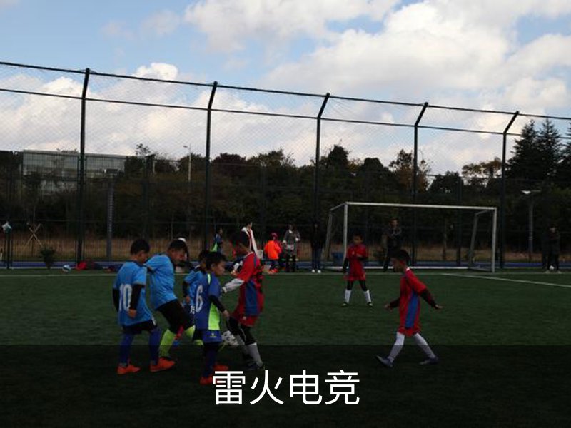 雷火电竞概况